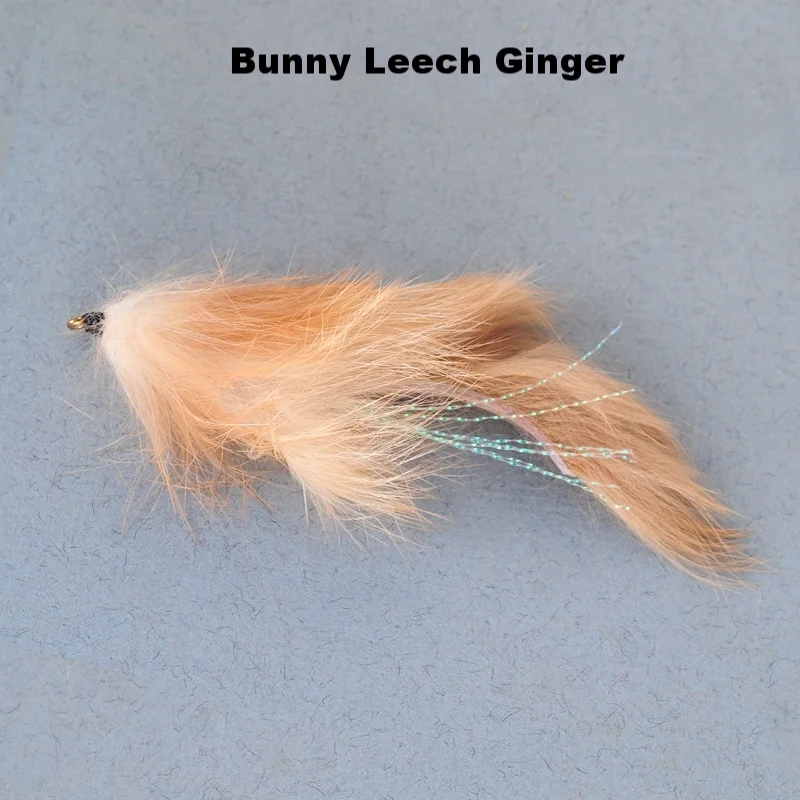 Bunny Leech Ginger