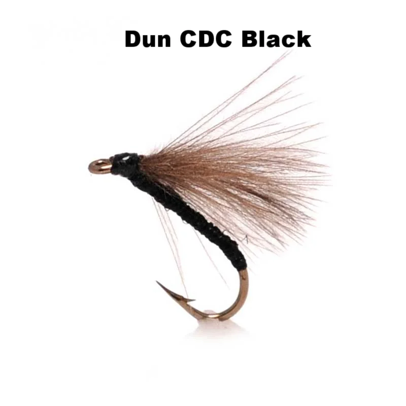 DunCDCBlack.jpg