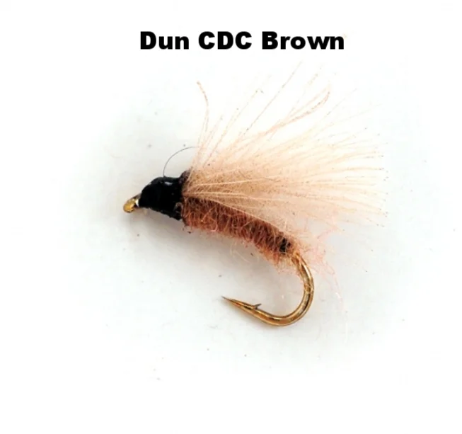 DunCDCBrown.jpg