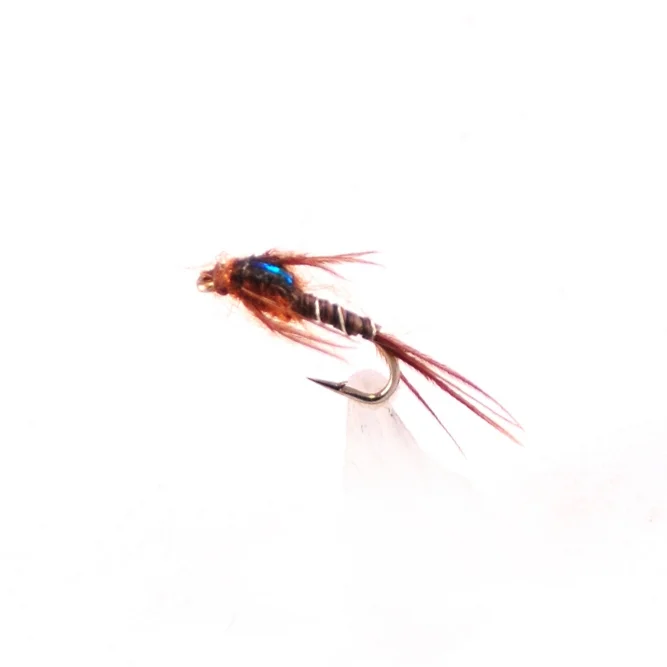 MayflyMicroBrown.jpg