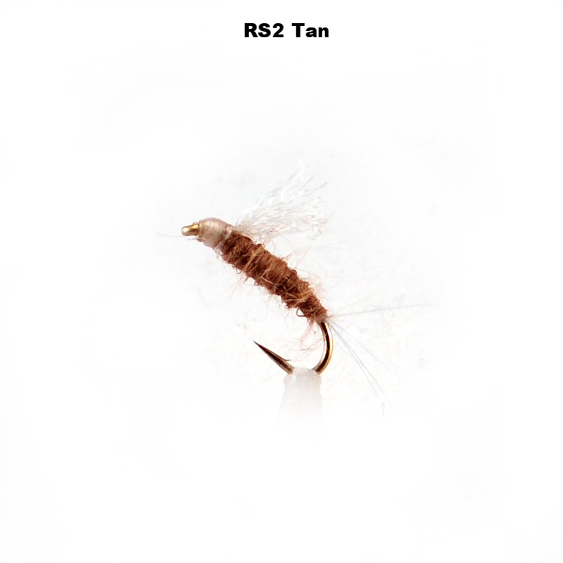 RS2Tan.jpg