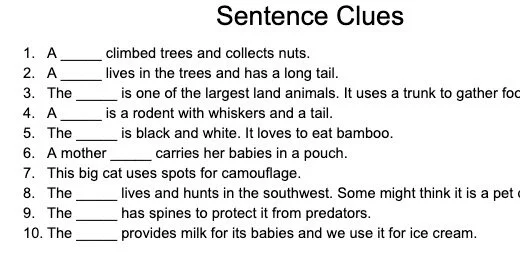 sentence clues for word jumbles