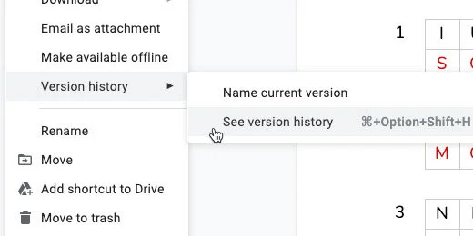 see version history option