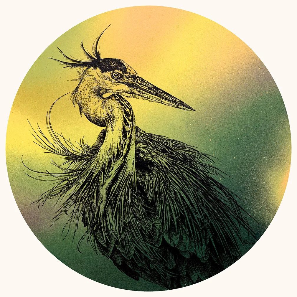 Great Blue Heron 24" Round Original