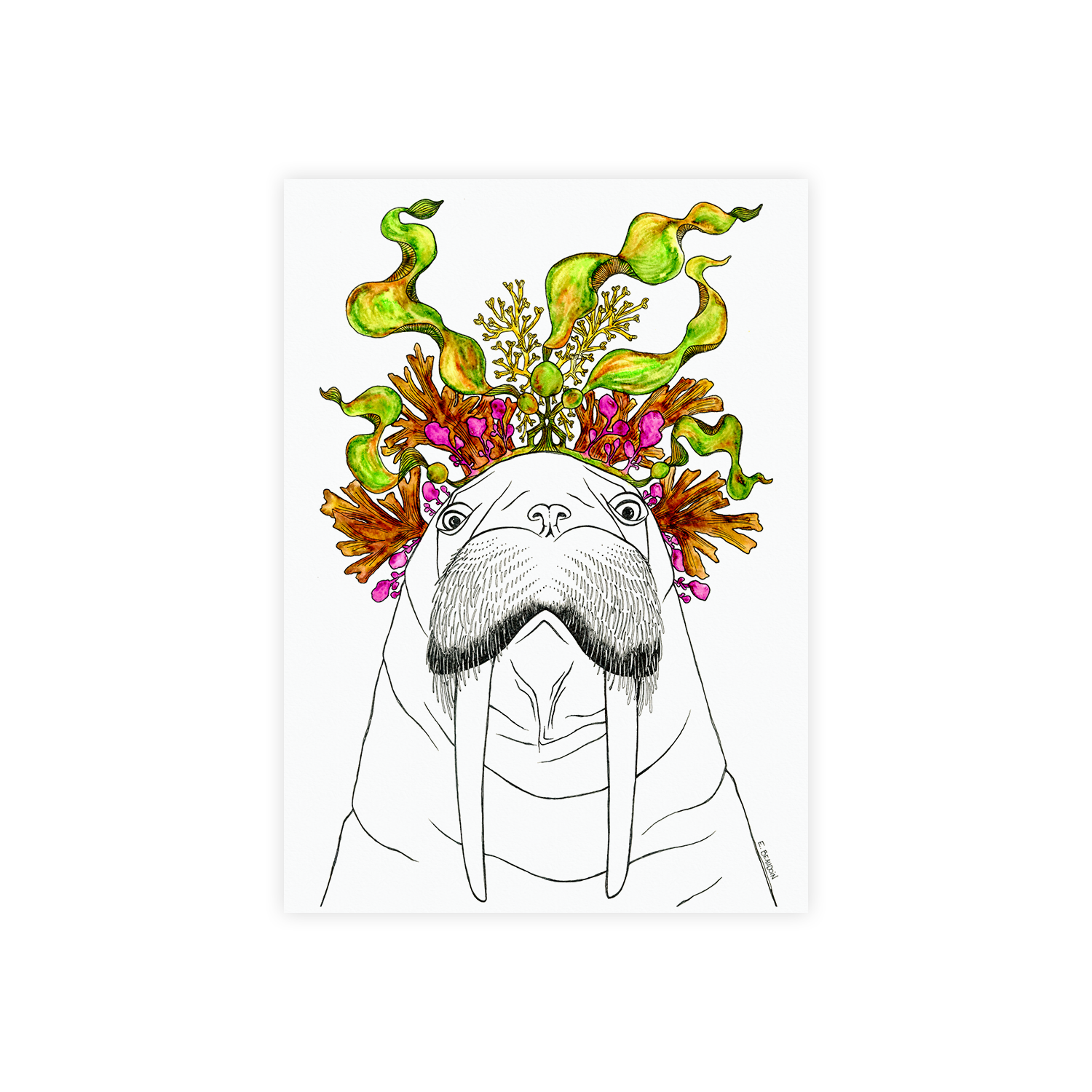 Greeting Card - Walrus.png