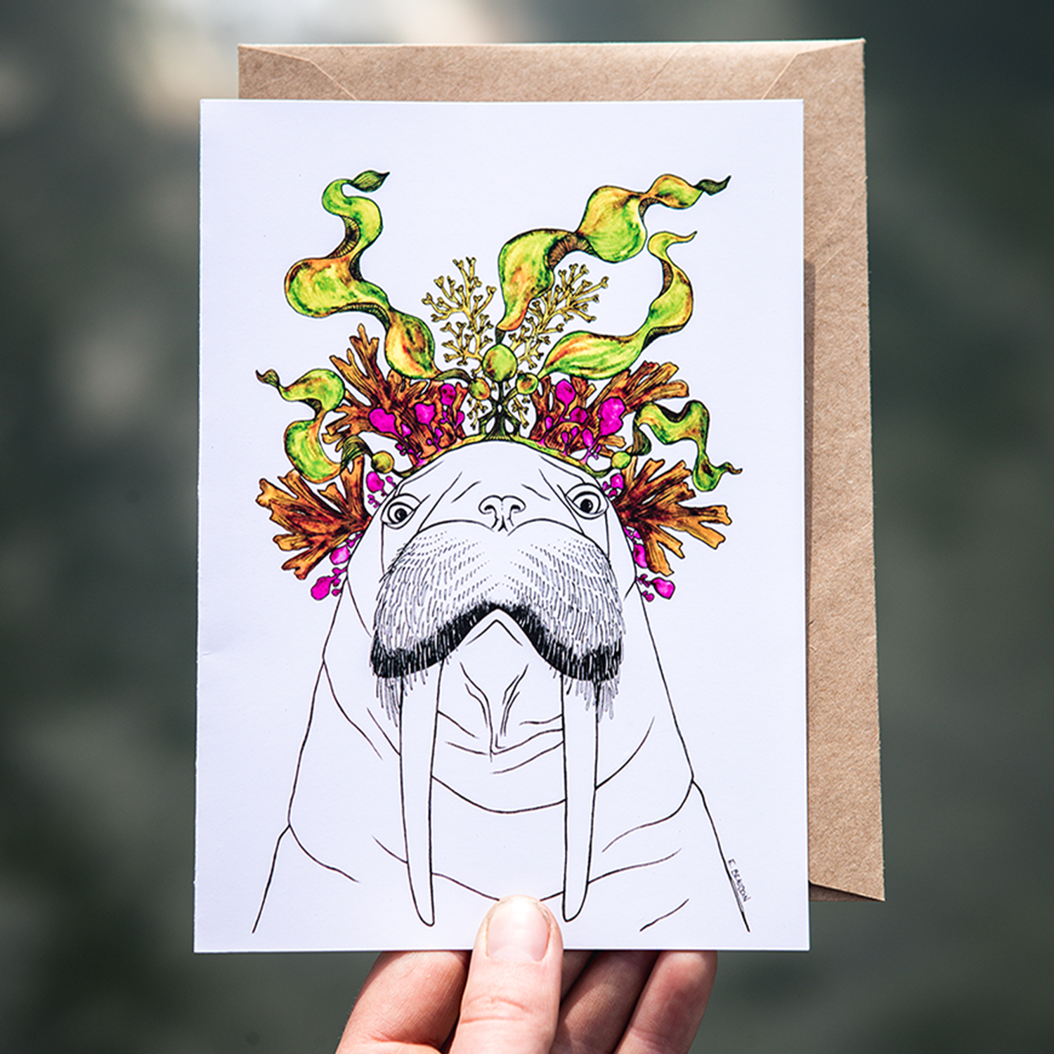 Greeting Card - Walrus - photo.png