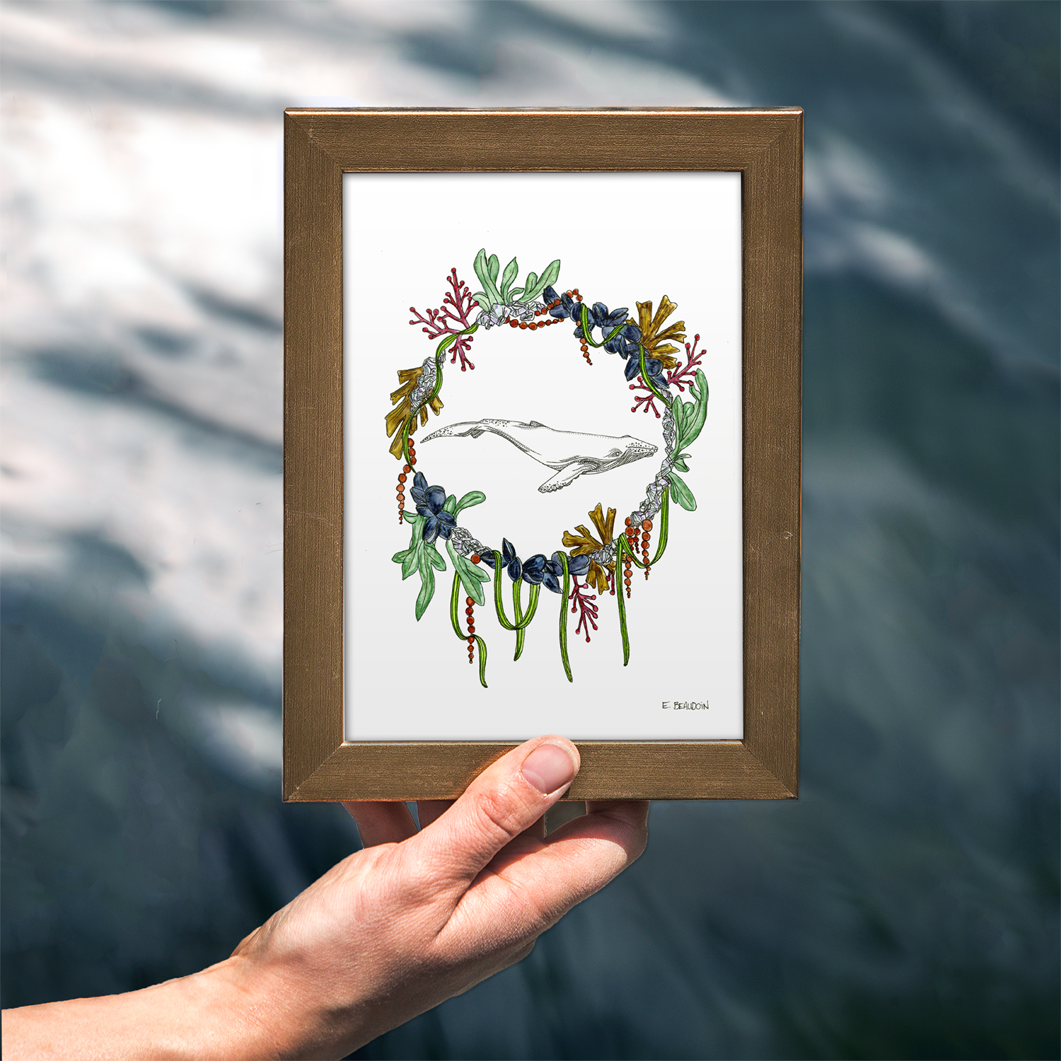 Humpback 5x7 - photo.png