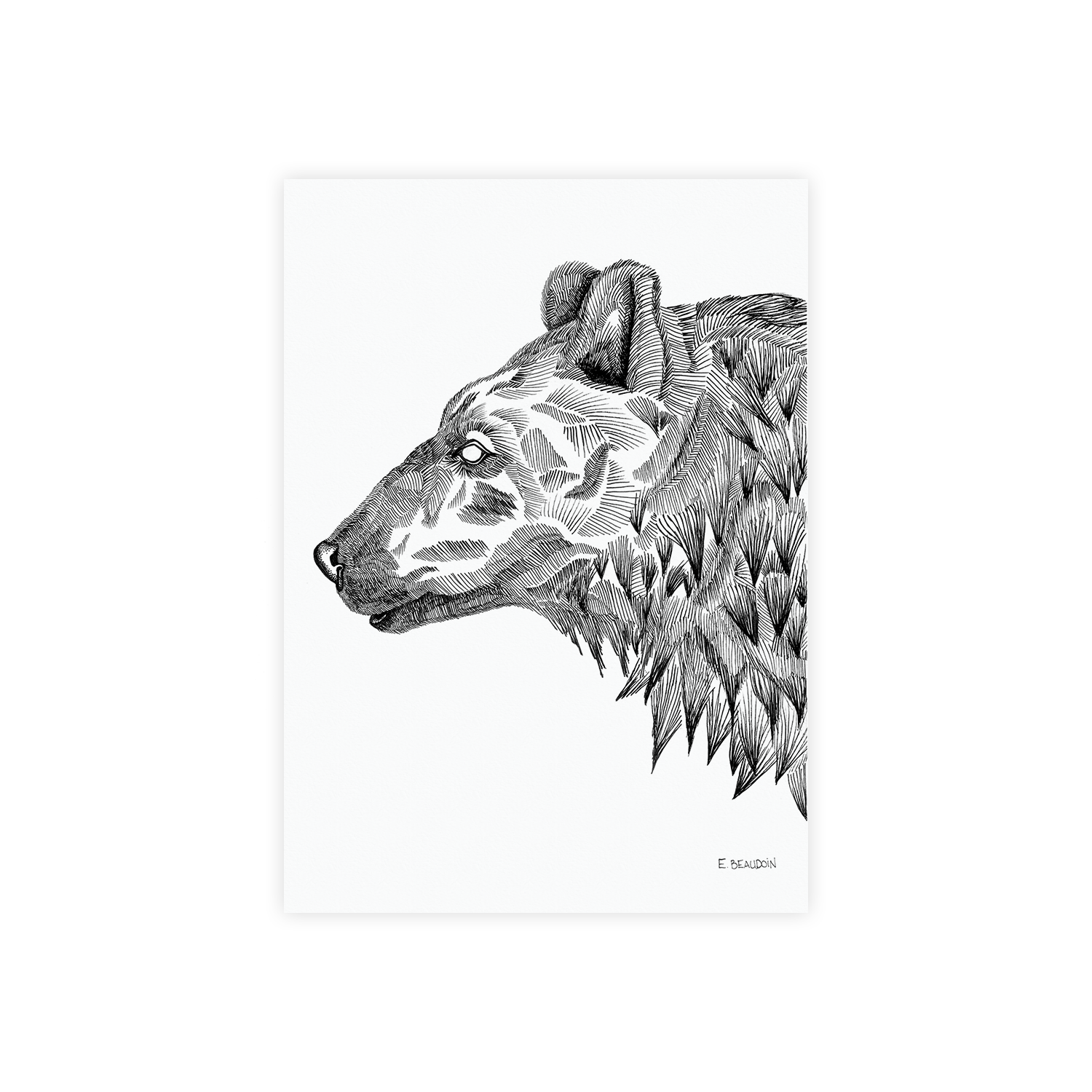 Greeting Card - Black Bear.png