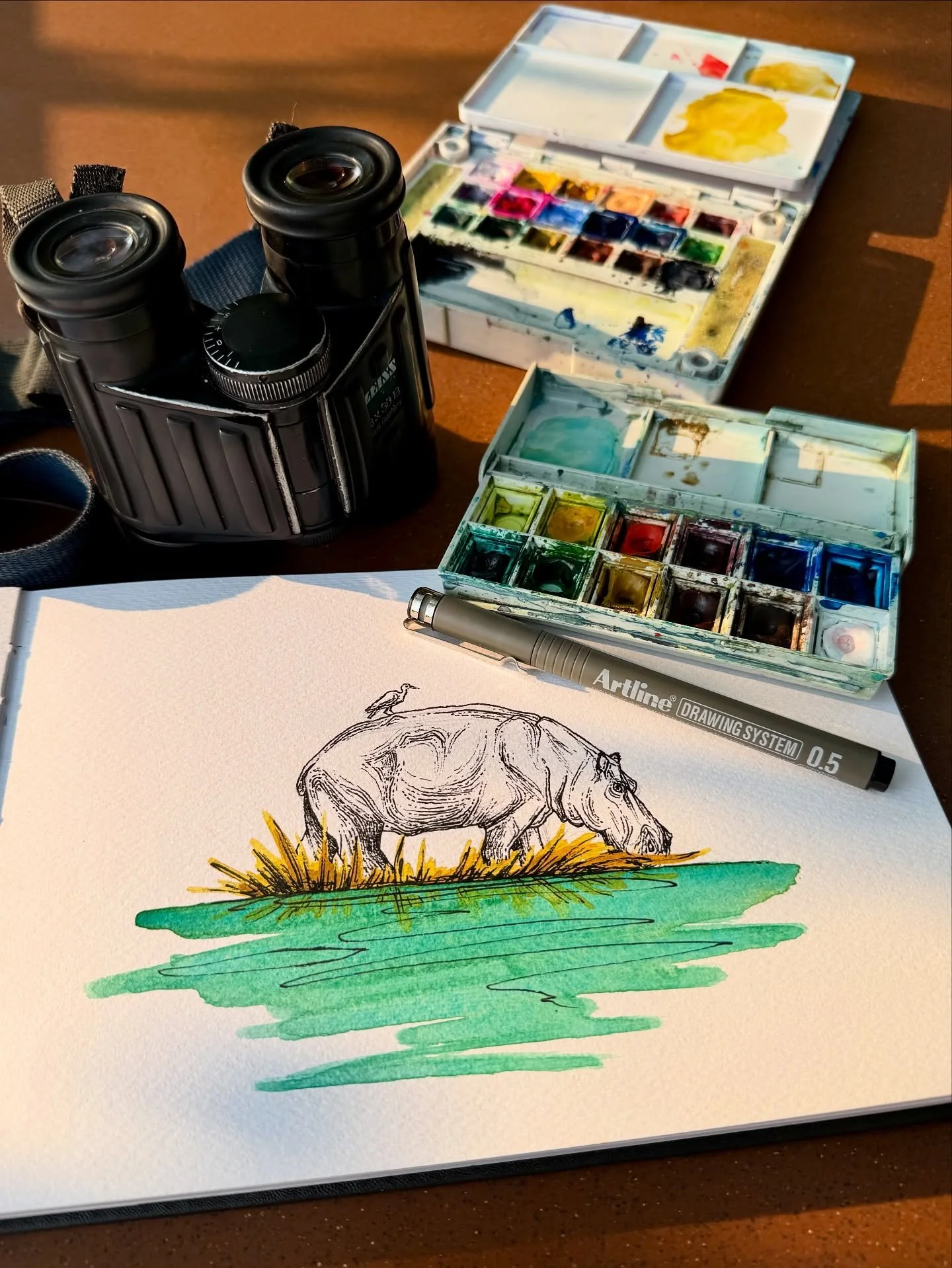Sketching hippos from the breakfast table…definitely a mega pinch me moment 🦛