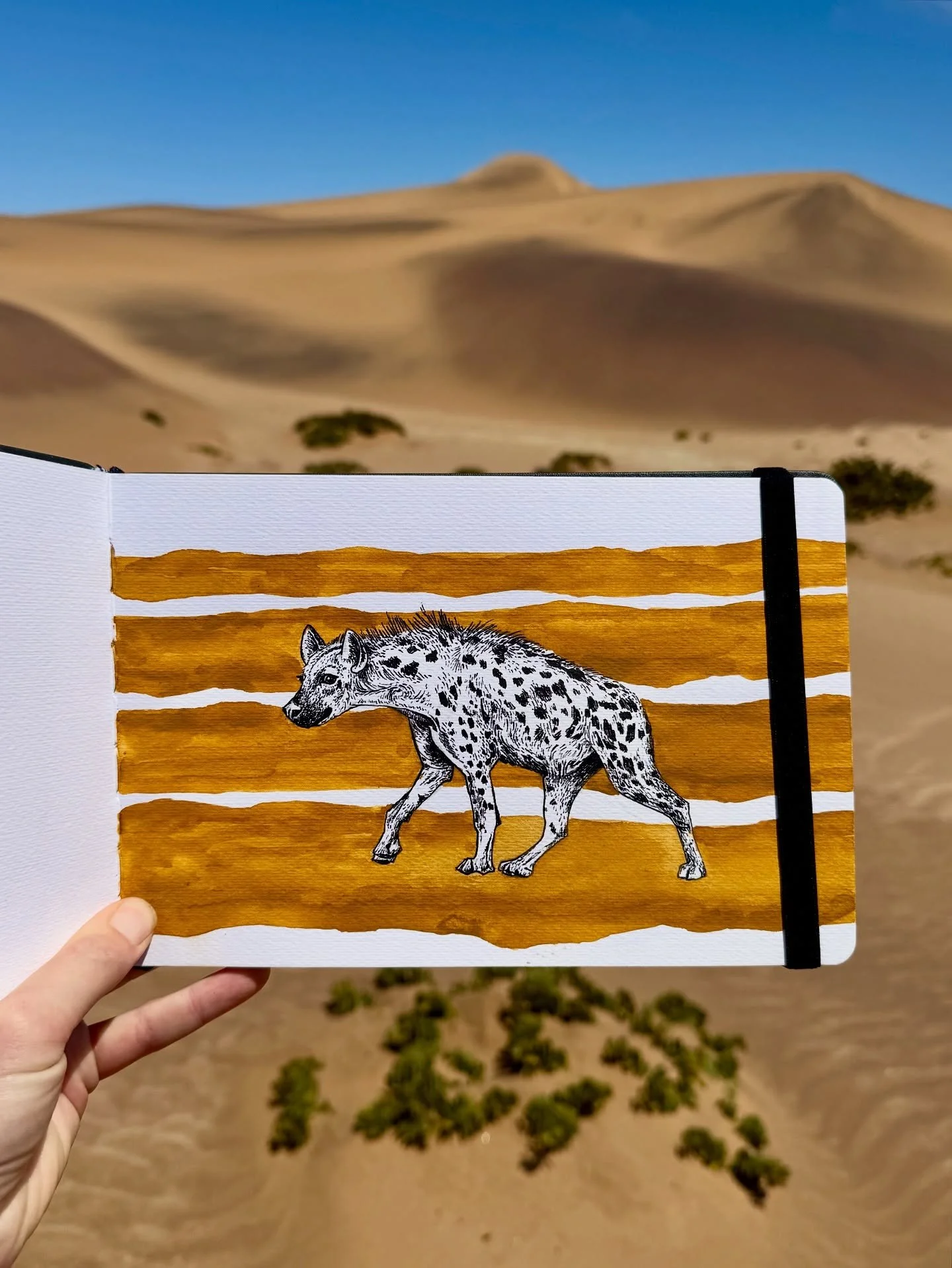 Desert doodlin’