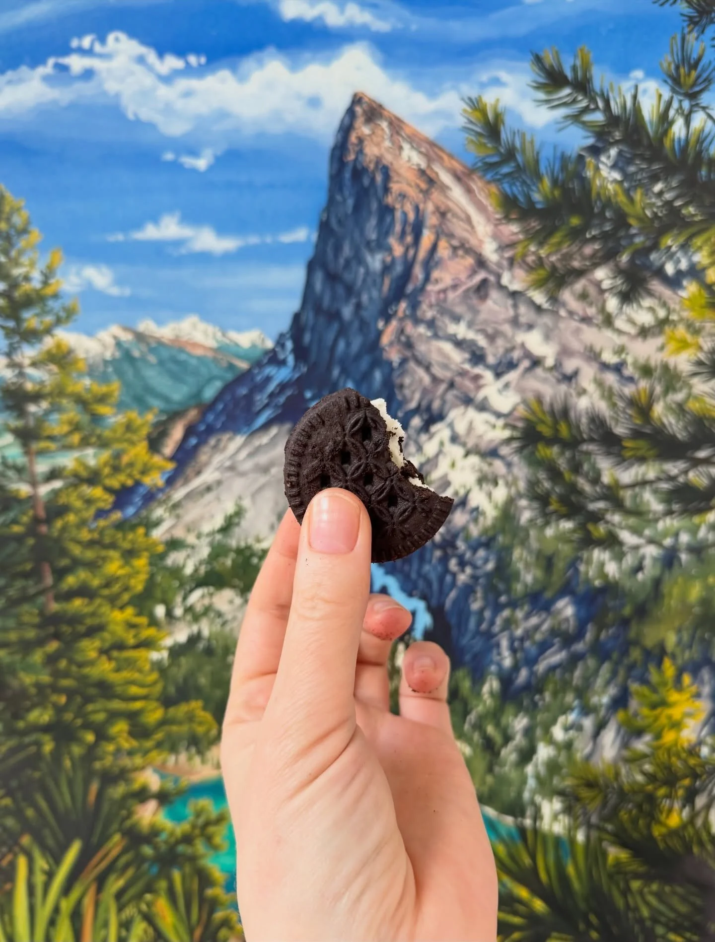 When I get artist&rsquo;s block, I go to the grocery store.&thinsp;
&thinsp;
There are these gluten-free Oreos that cost $11, which is completely absurd. But if I&rsquo;m properly stuck, staring at a painting and feeling completely blocked, I&rsquo;l