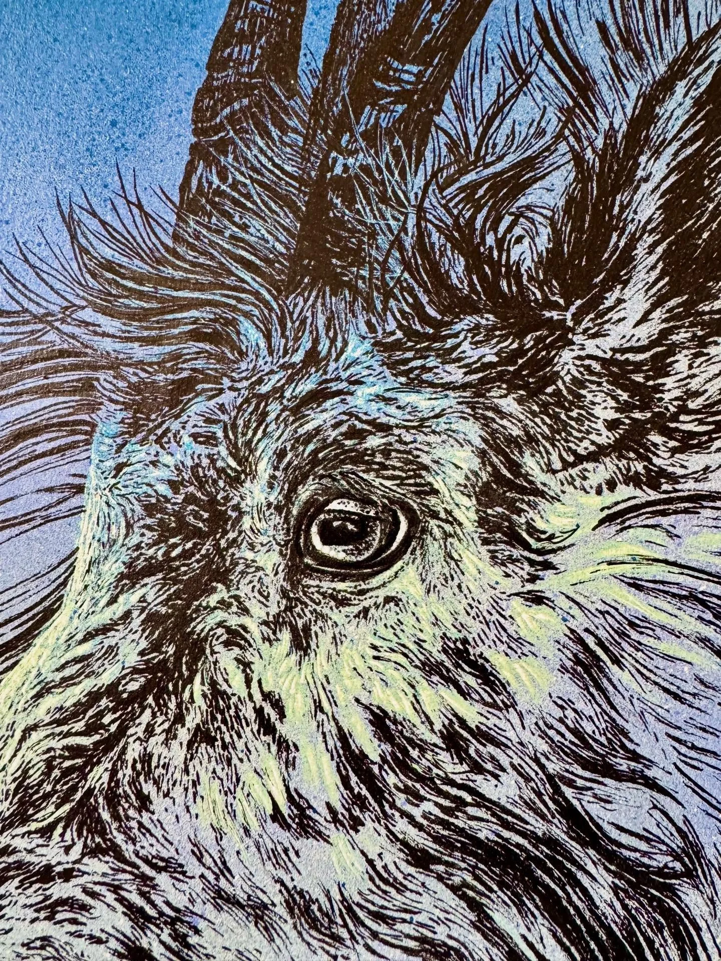 Details of my mountain goat, painted on a 24&rdquo; round birch panel. Goat eyes are a funny thing to paint, because their pupils are very different from most animals. They&rsquo;re rectangular and horizontal, which can feel pretty unsettling to huma