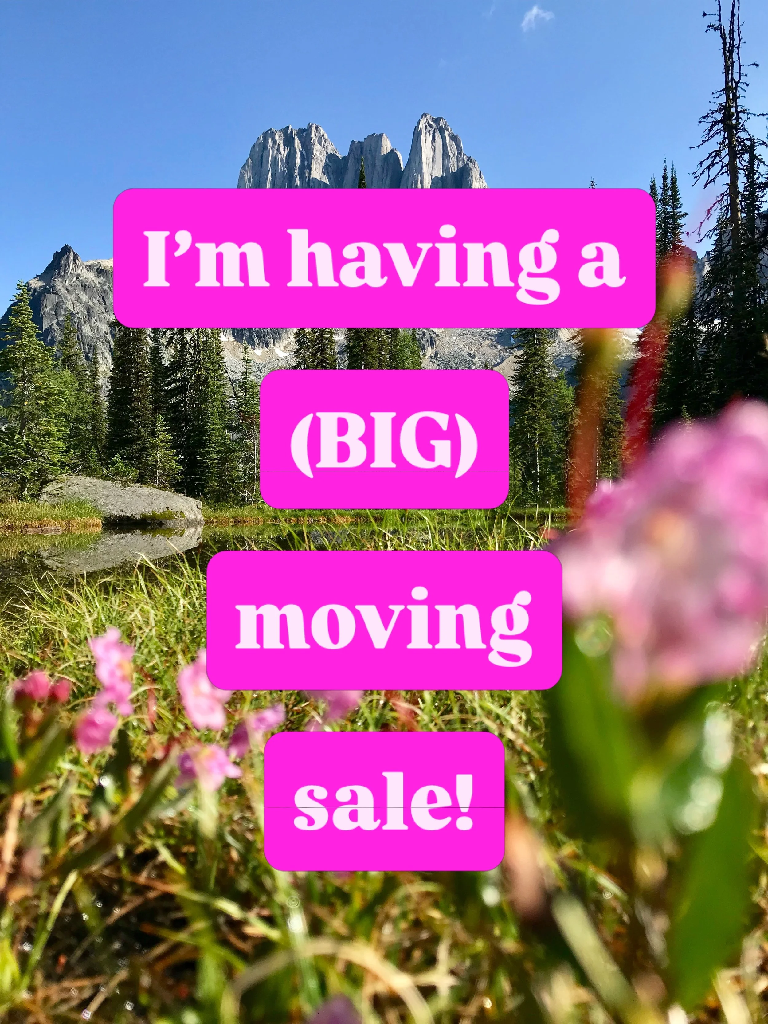Big news around here! I&rsquo;m moving my studio into the bright, beautiful second bedroom in my new home with Andy! Which means the old studio has to empty out first, and I&rsquo;ve decided to have a sale to celebrate new beginnings and hopefully fi
