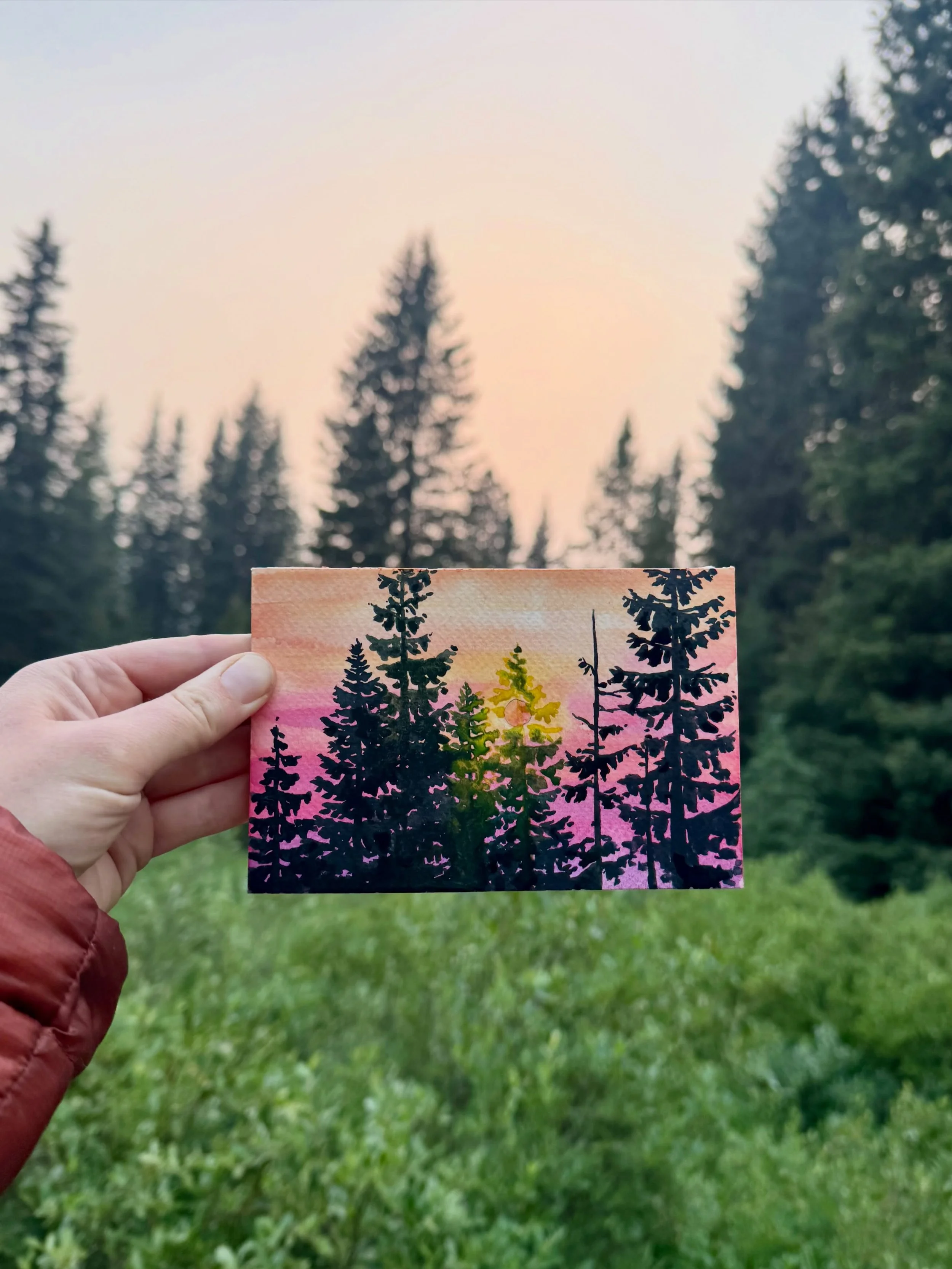Quick study at Porcupine camp on our first night backpacking into Mount Assiniboine. The air was humid and chilly and the paint didn&rsquo;t want to dry, so I balanced my open sketchbook on top of our food bag in the bear locker so it could dry overn
