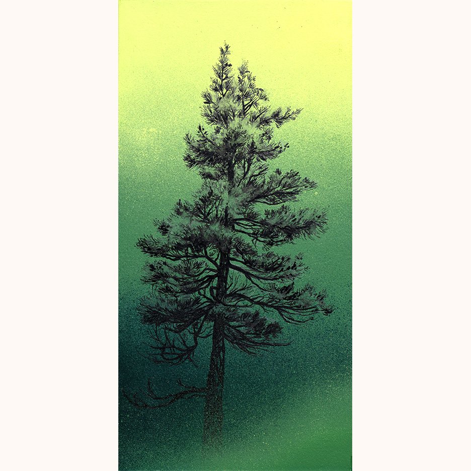 Lodgepole 6x12" Original