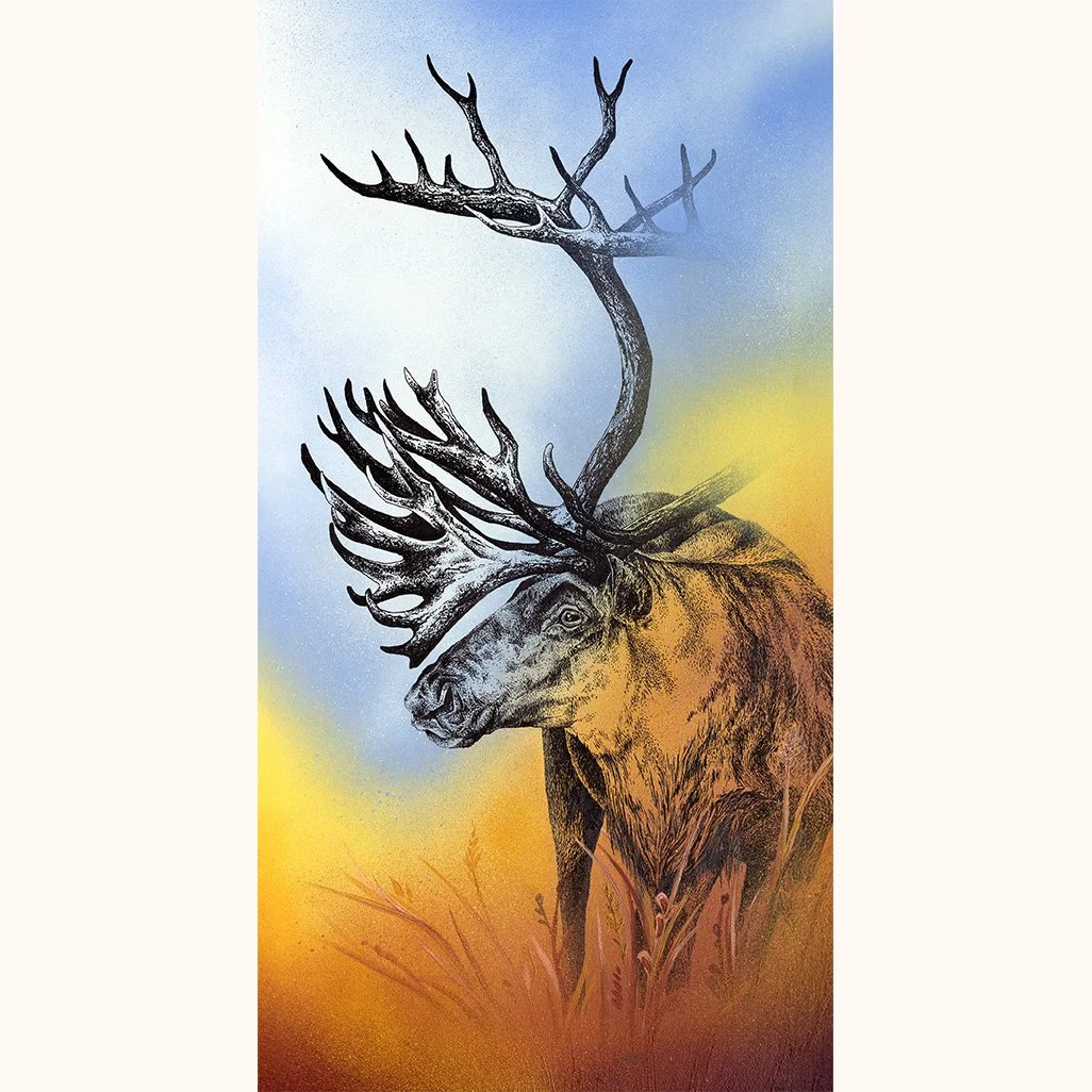 Caribou Website 72.jpg