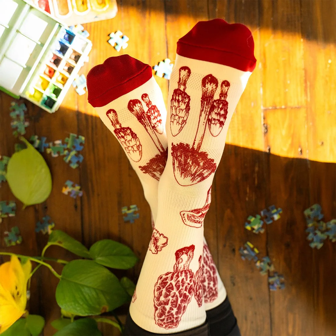 Mushroom Socks 4 Website 72.jpg