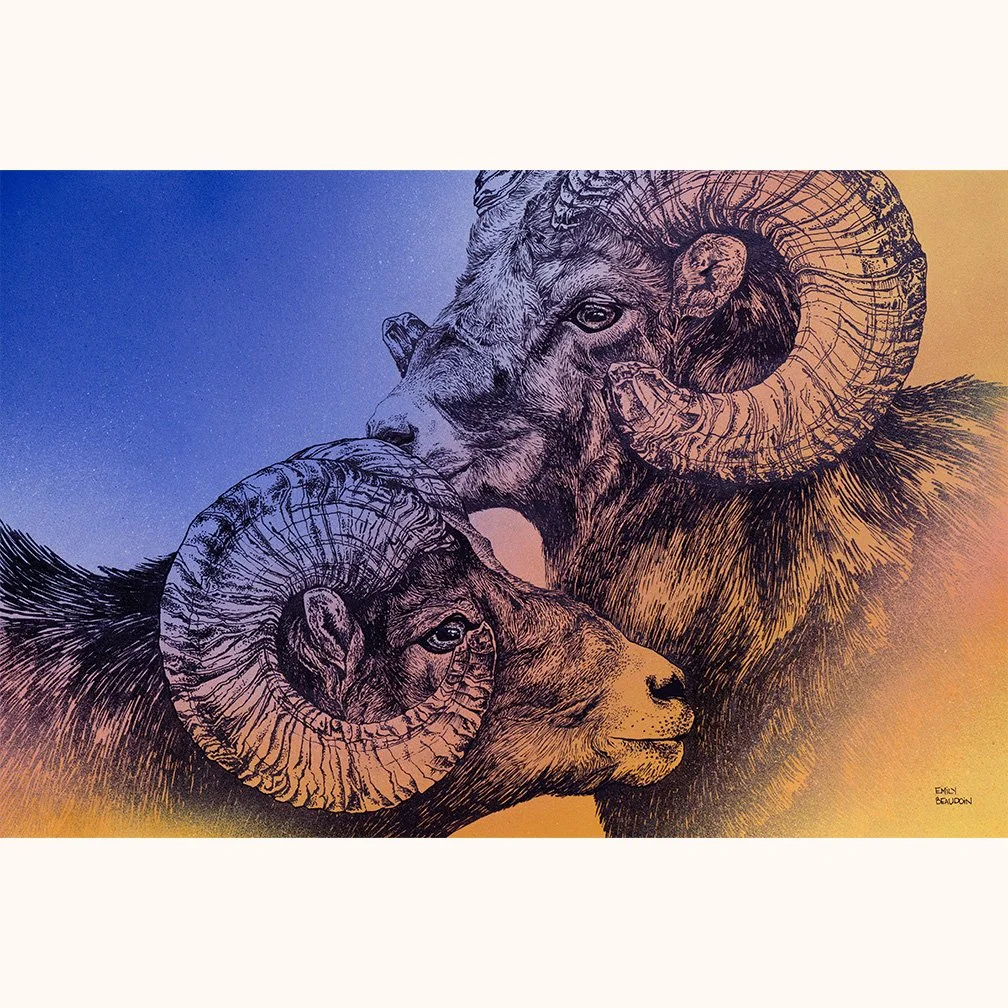 Bighorns 16x24" Original