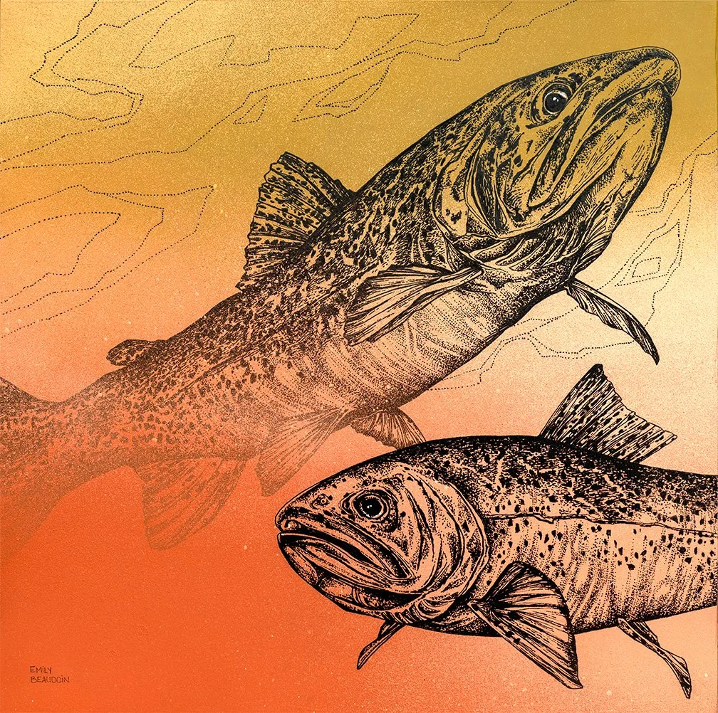 Westslope Cutthroat Trout 18x18" Original