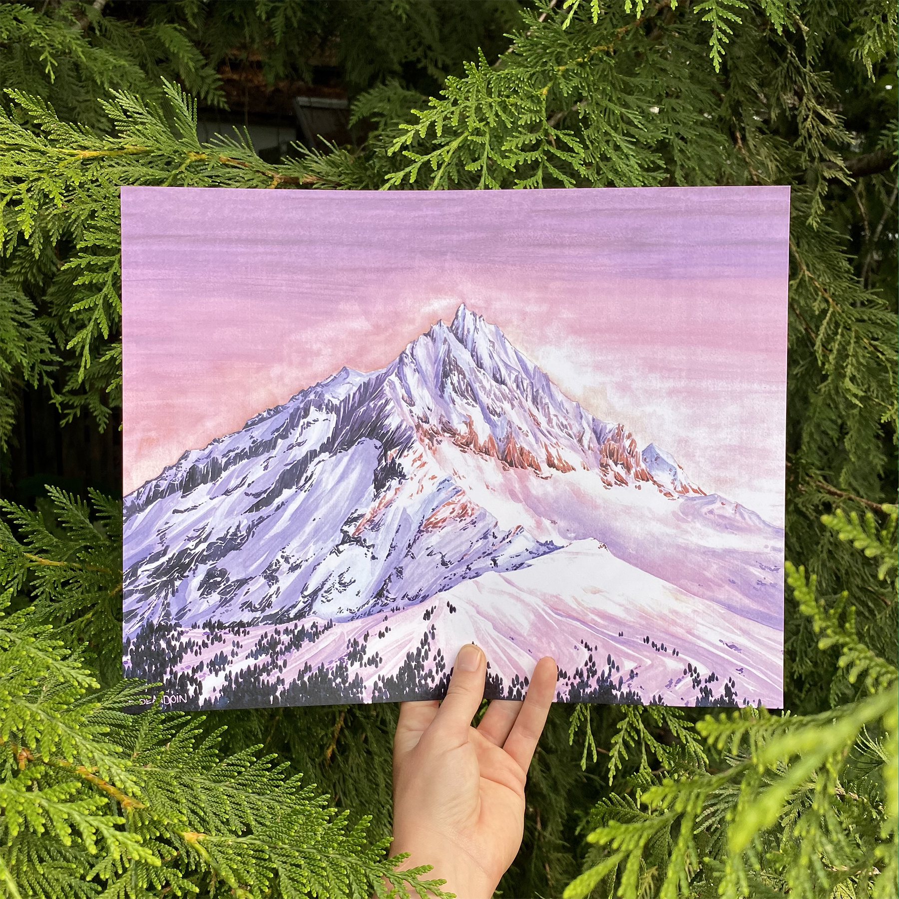 A mountain landscape painting with snow-covered peaks and a pink and purple sky, held up by a person's hand among green pine branches.