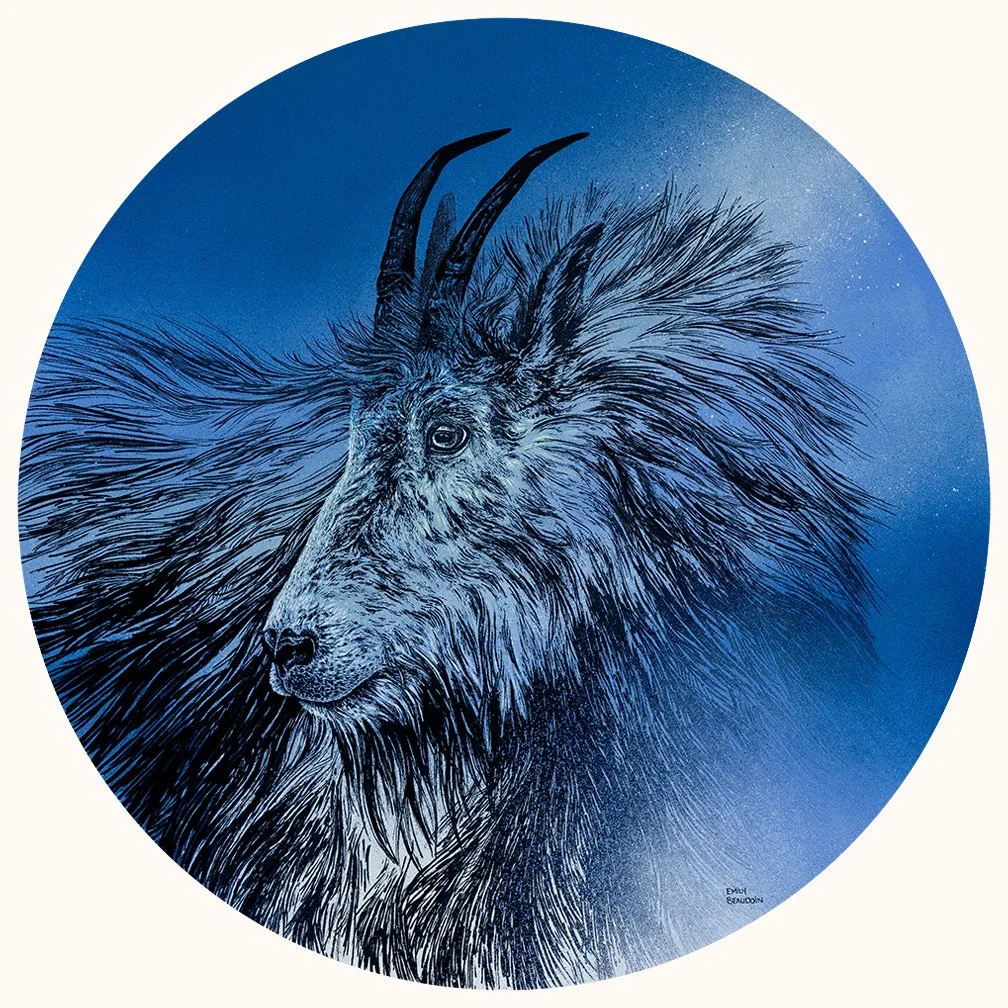 Mountain Goat 24" Round Original