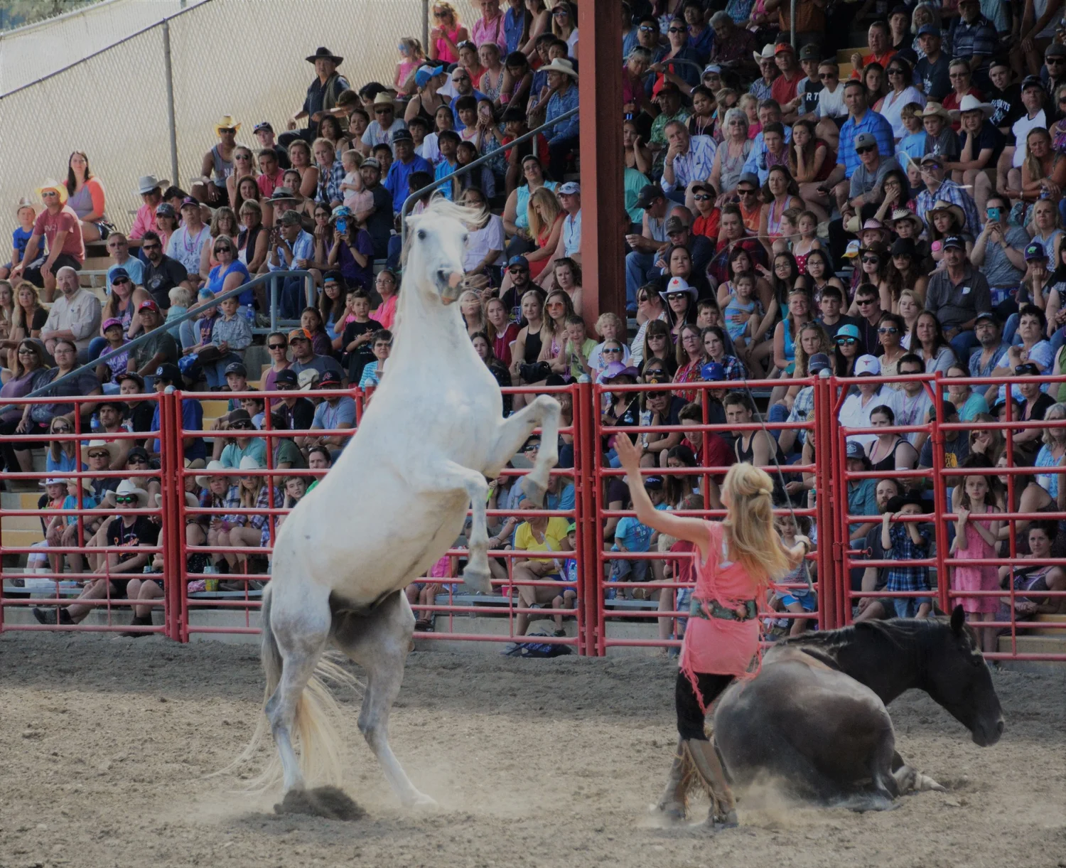 Williams Lake Stampede