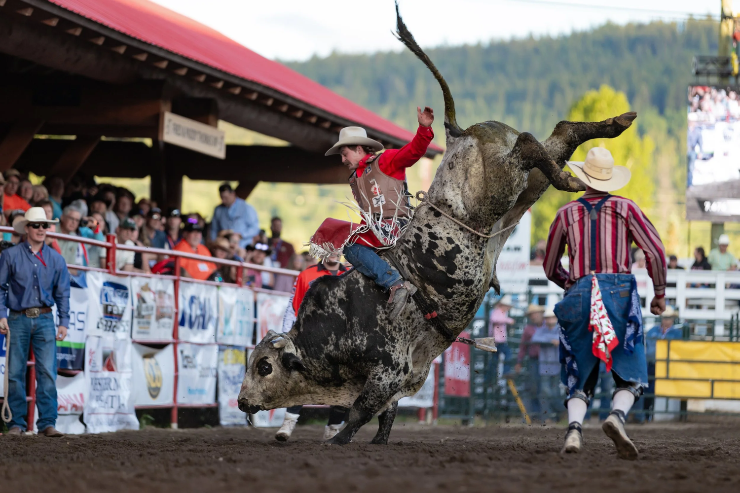 Events & Results — Williams Lake Stampede