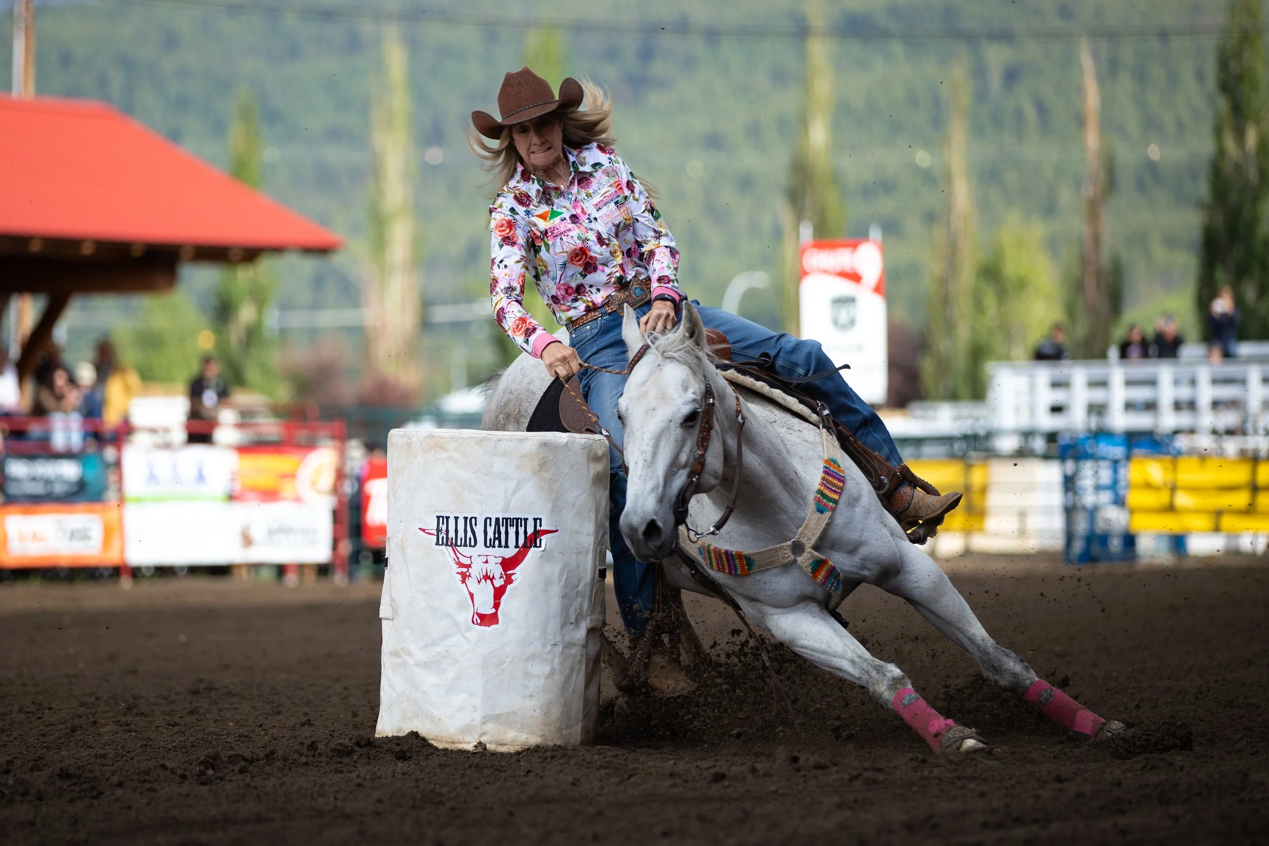 Rodeo — Williams Lake Stampede