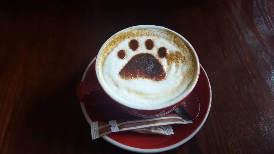 coffee-3124272_960_720.jpg