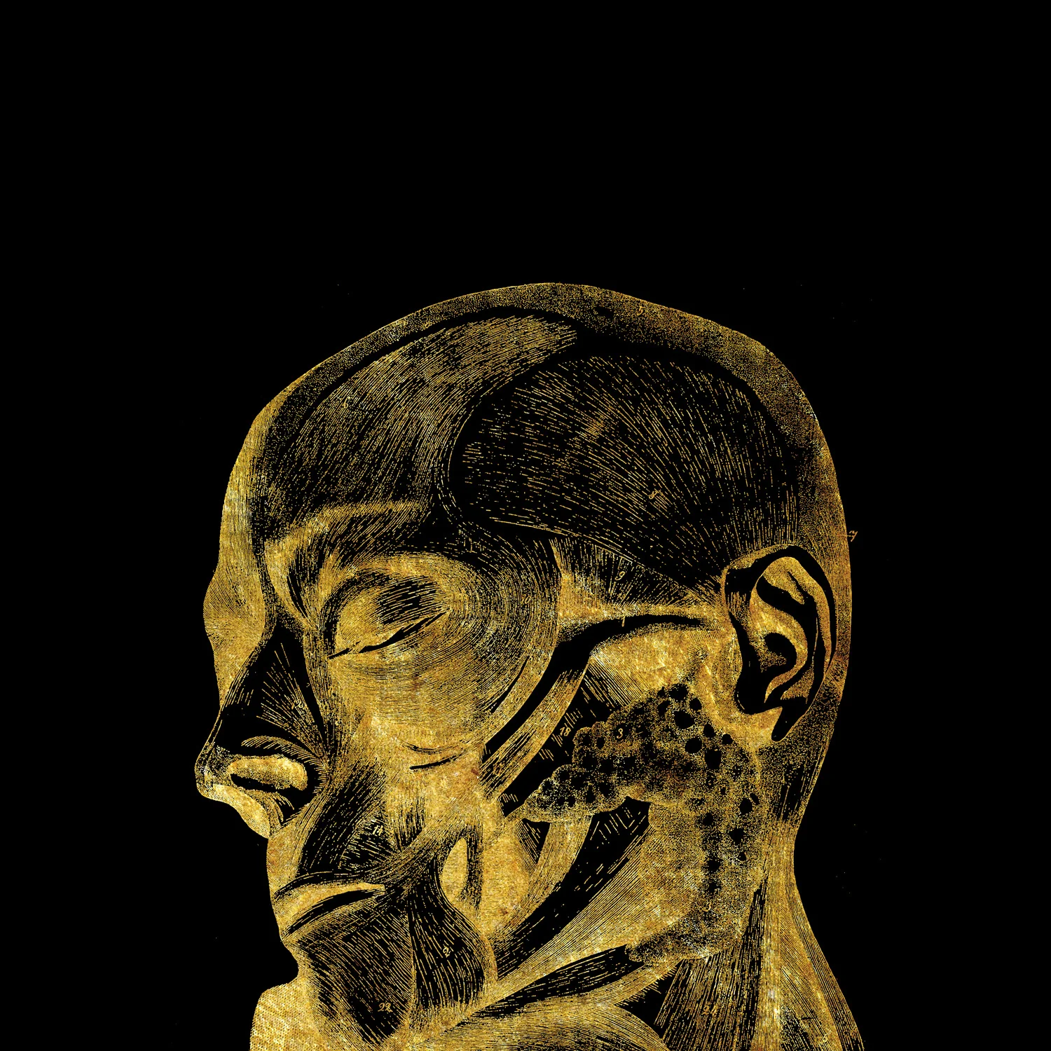 Liam the Younger - After The Graveyard