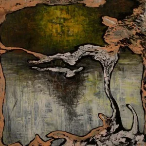 Julian Lynch - Terra LP