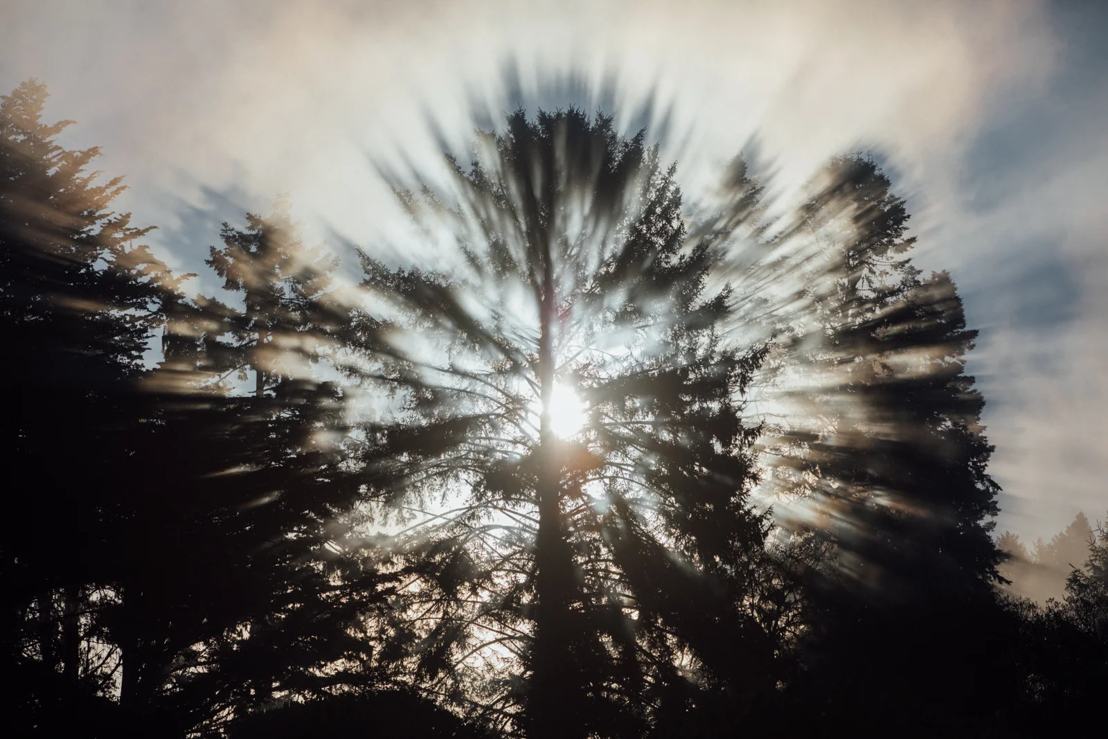 Humboldt CO-8404.jpg