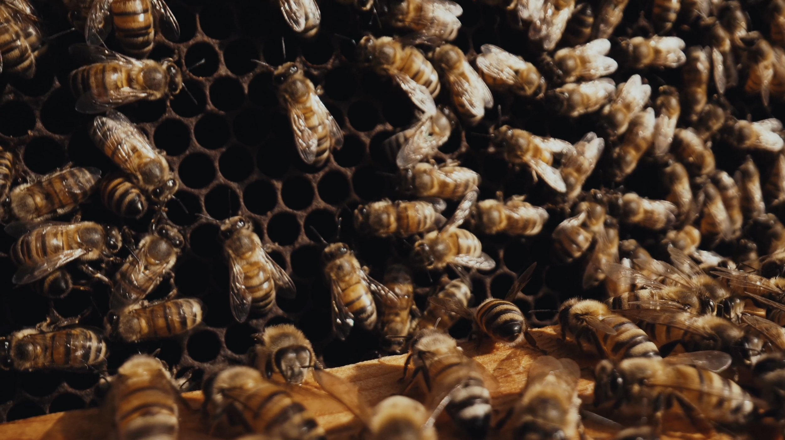 Screen Shot 2022-08-17 at 2.41.42 PM.png