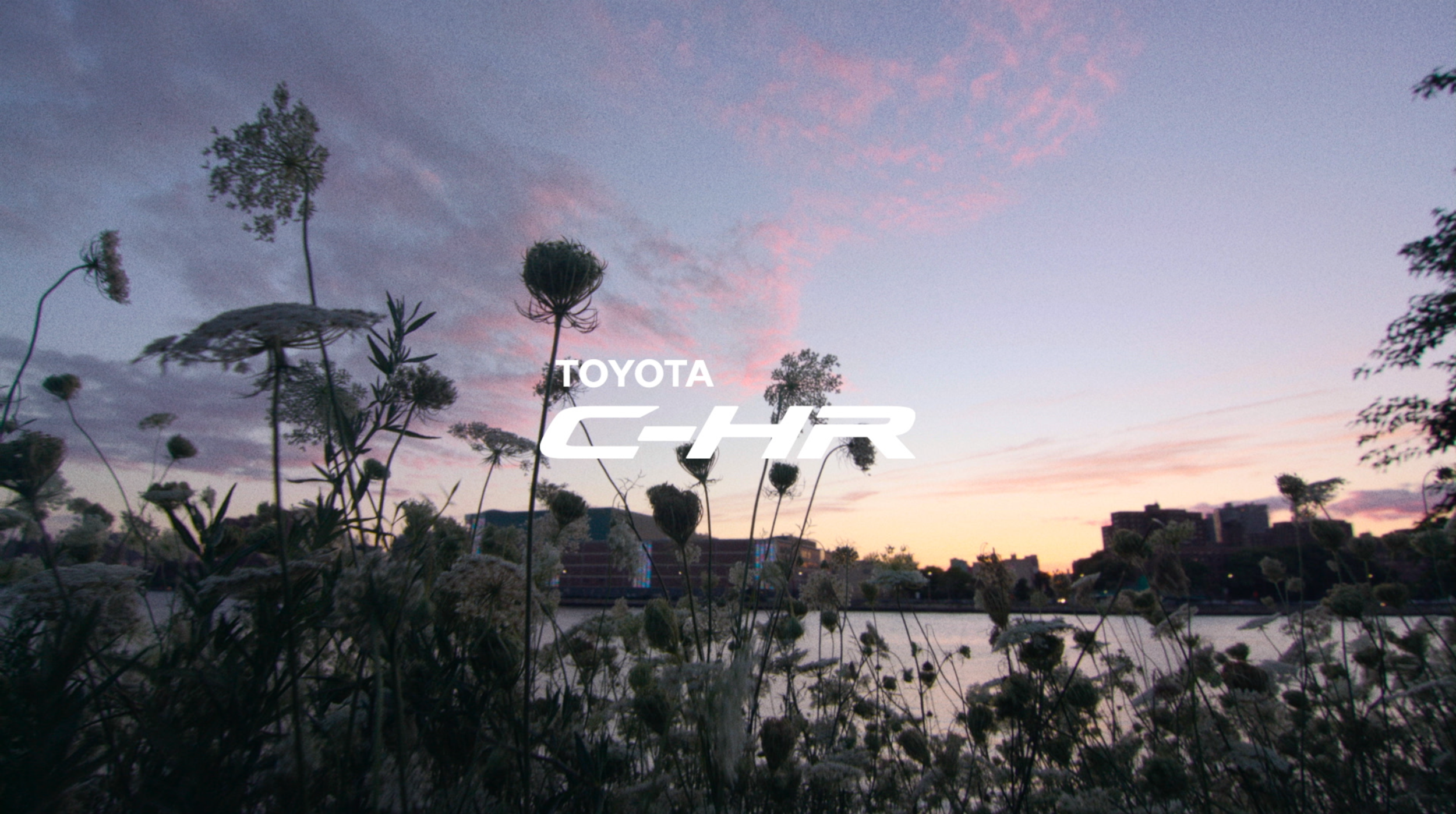 Toyota C-HR - Cody Kussoy.png