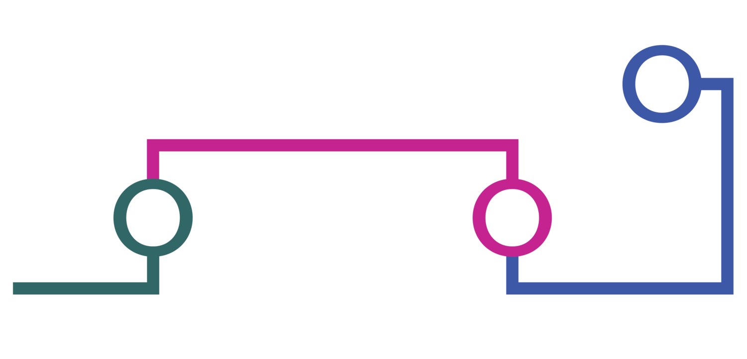 Chicago Commons Project