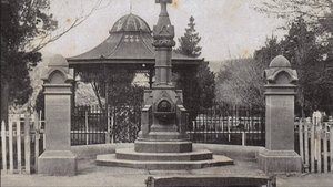 Image5.jpg
