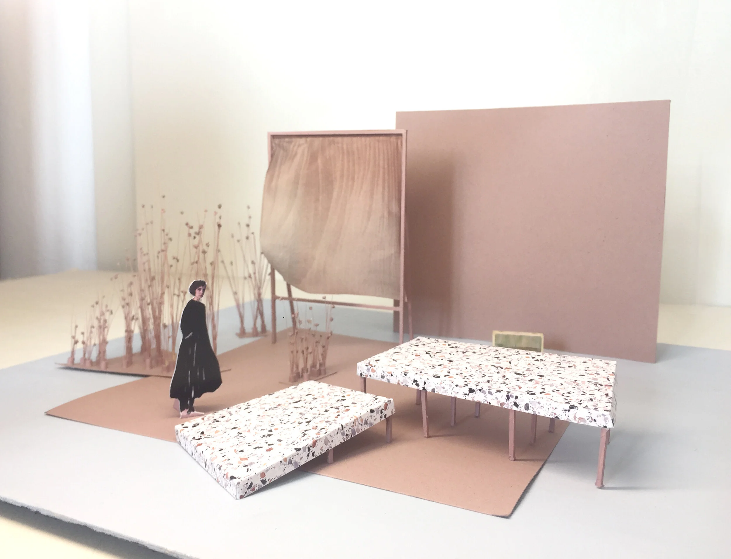 3 gerico innocenza rosa.JPG