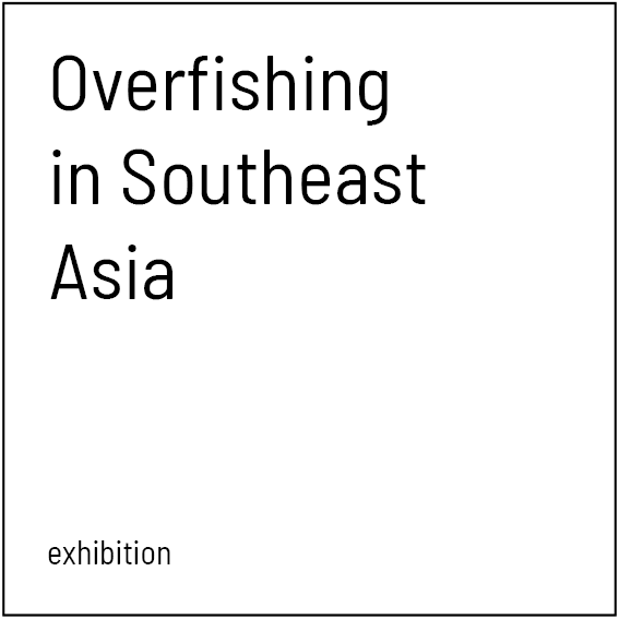 6 overfishing.png