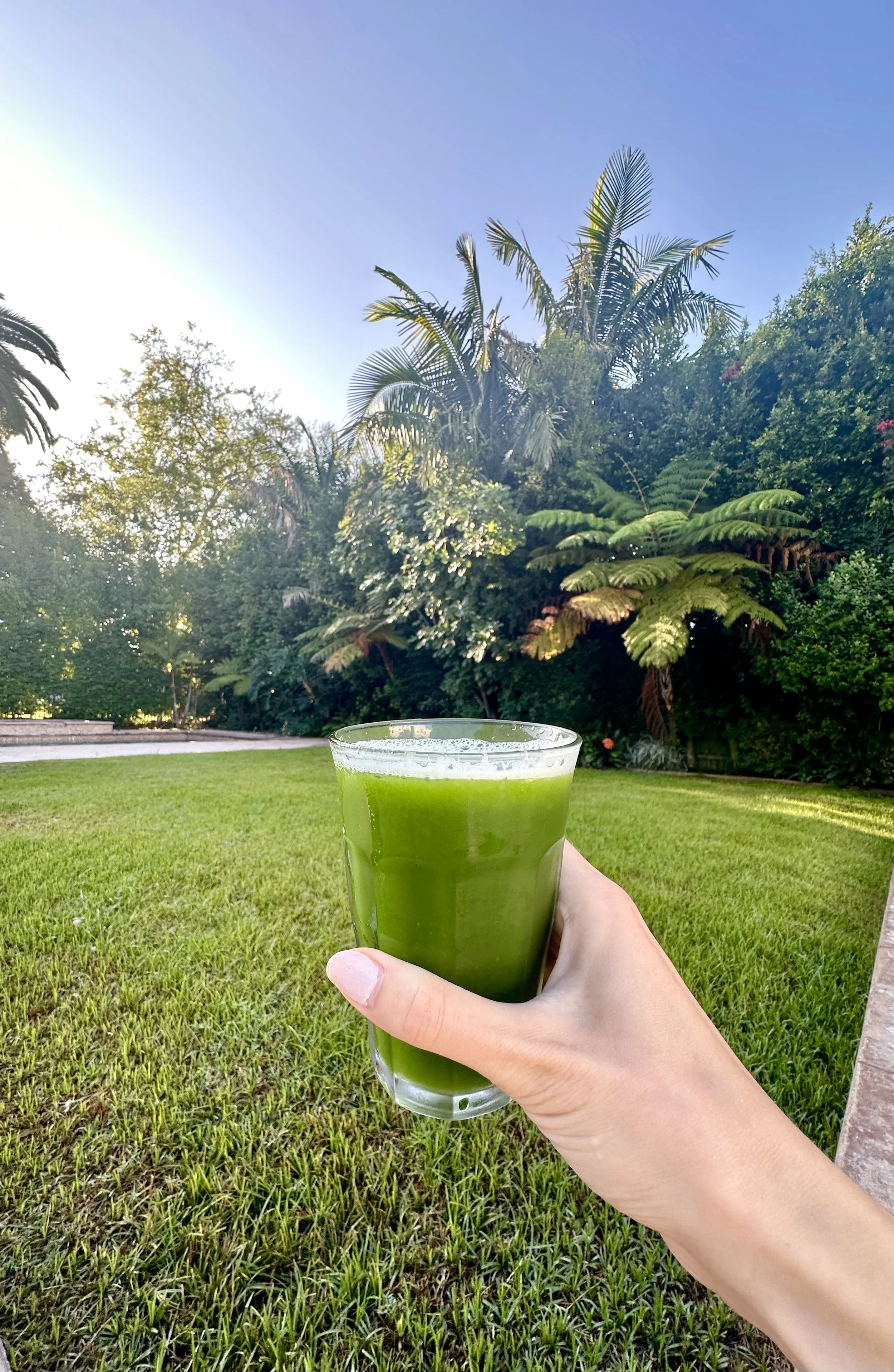 Easy Juicing Routine for Beginners (Tools + Products I Actually Use)