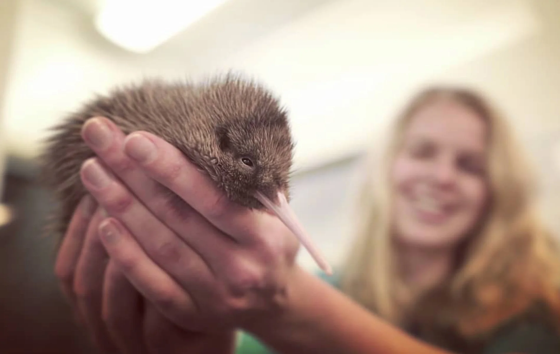 Screen Shot 2018-05-16 at 4.49.18 PM.jpg