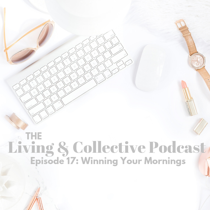 Ep. 17-Winning your mornings.png