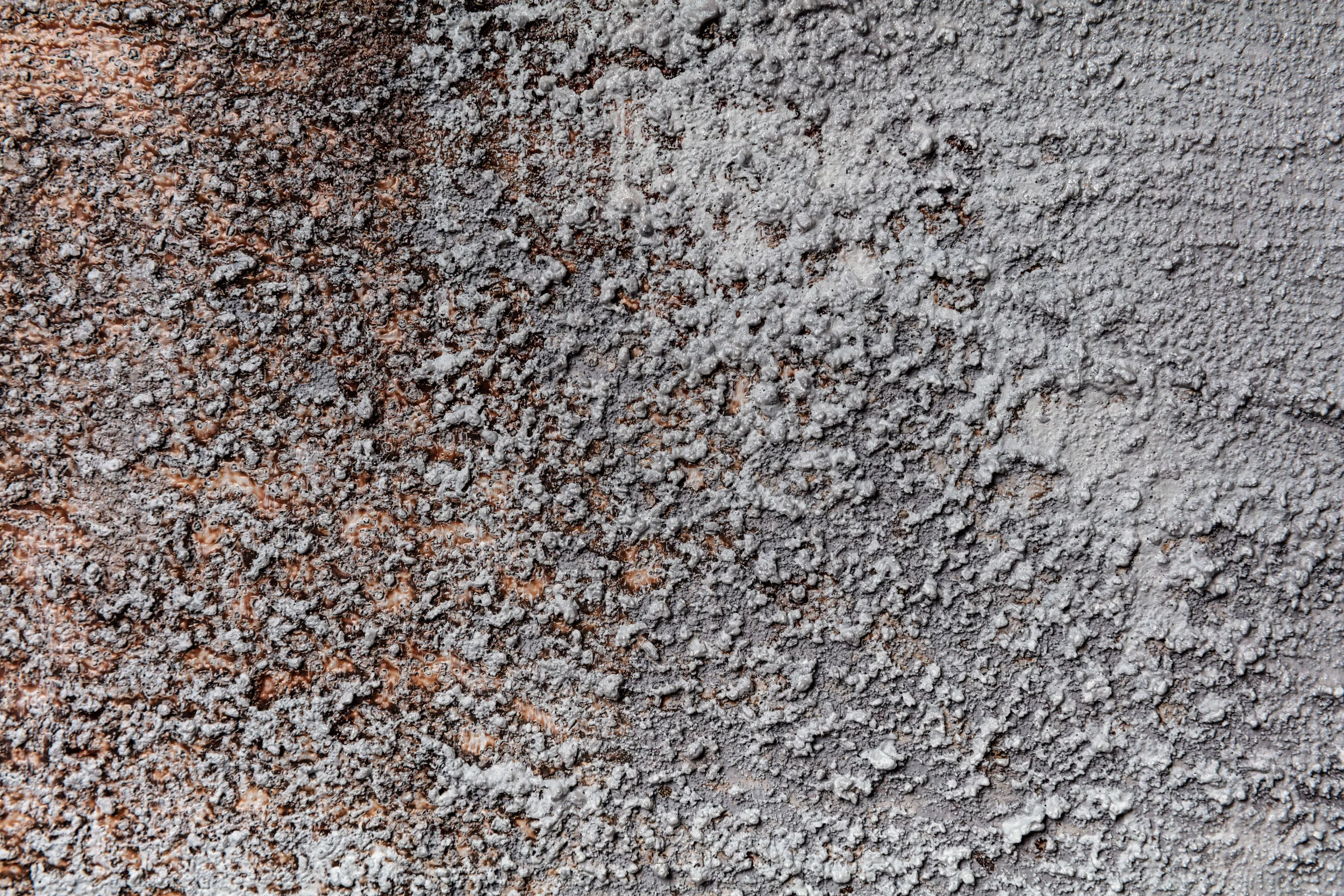 Qualia (Details)