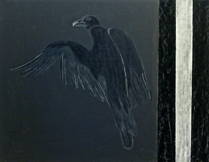 iowa #4 vulture