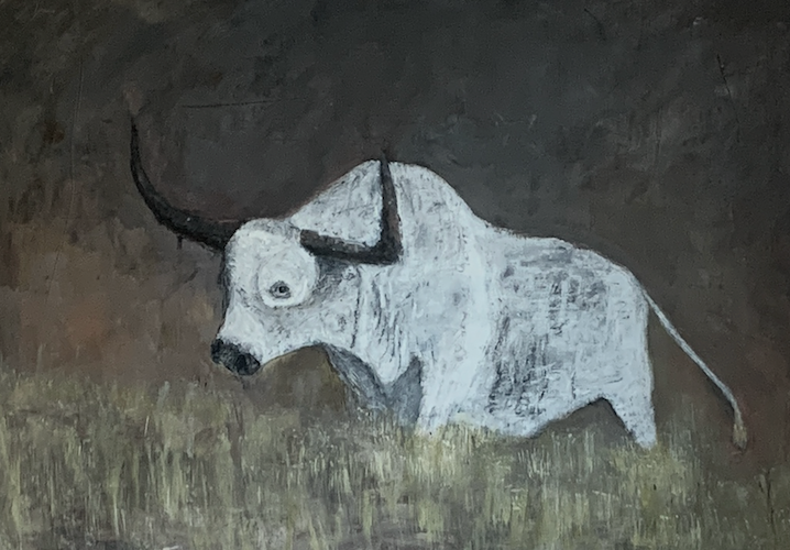 witchita mountain longhorn