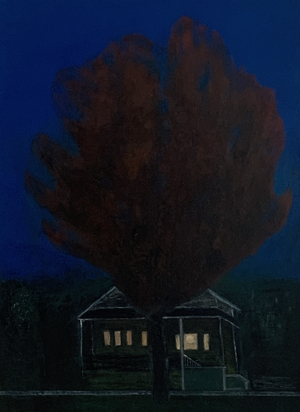 red sweetgum tree