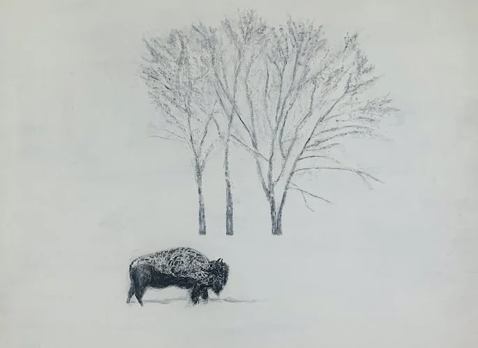 i'm not here for you