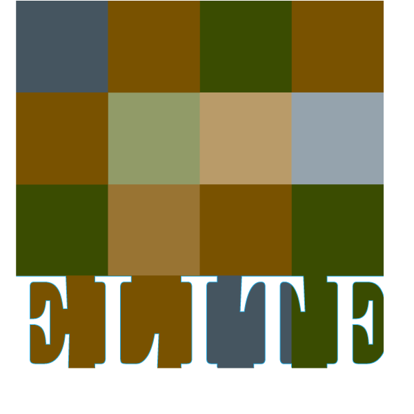 Elite Tile Services