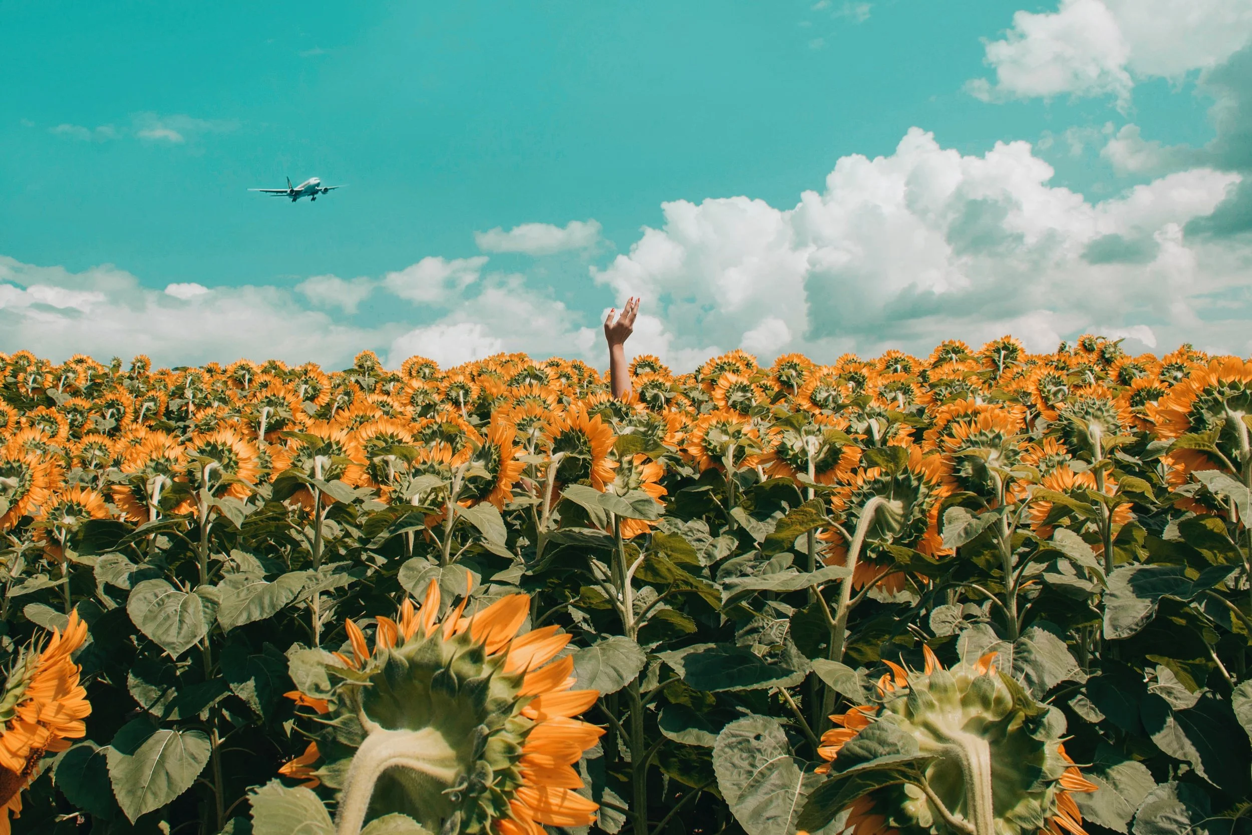 Inside Instagram’s Algorithms: The Truth Behind Our Feed  