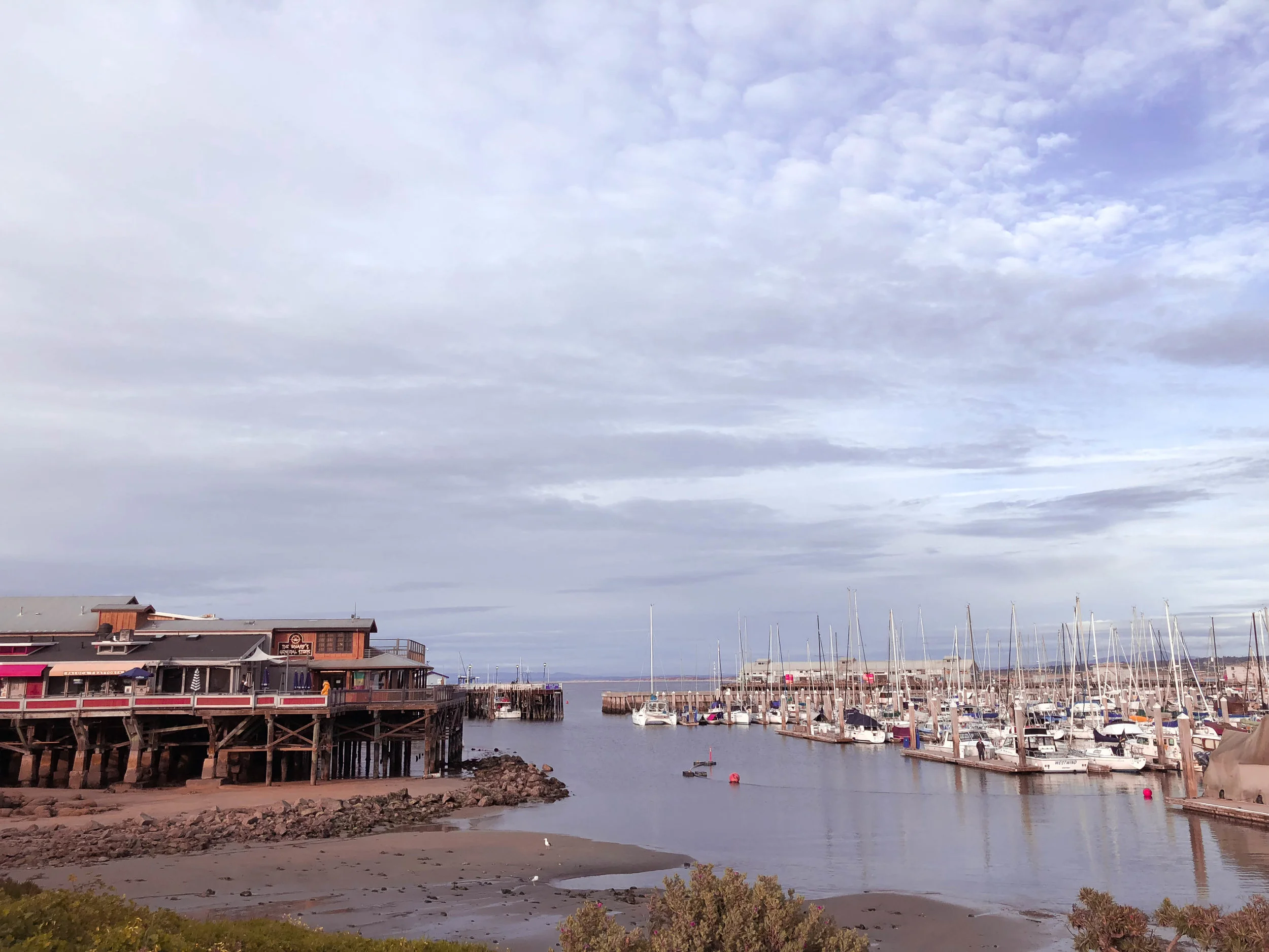 MontereyWharf1.jpg