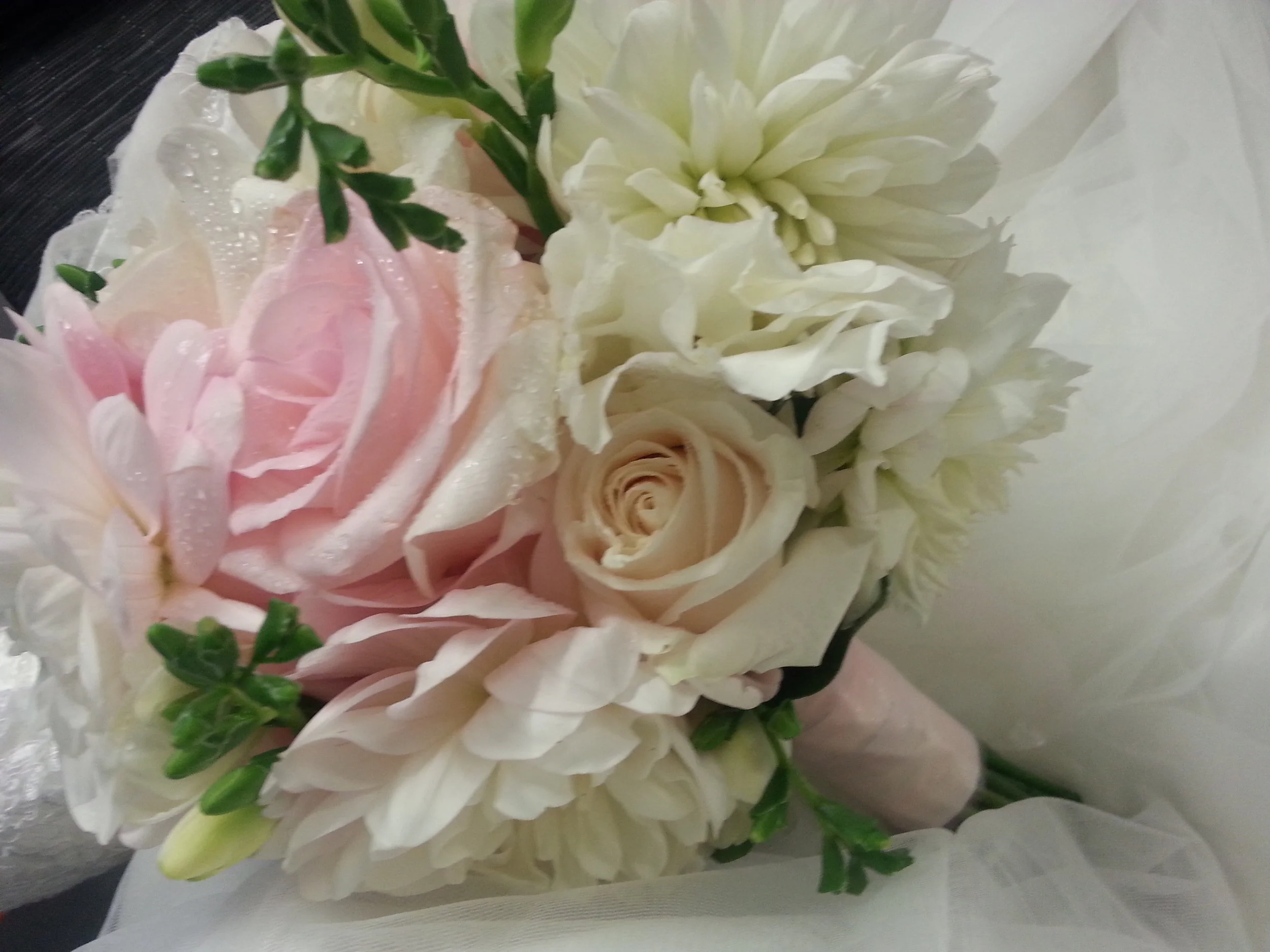 20160430_105819.jpg